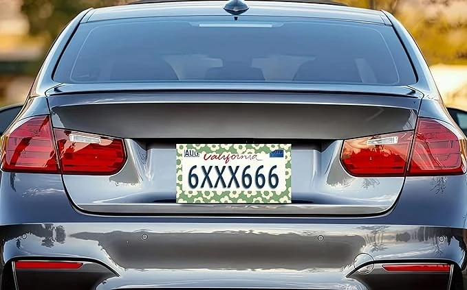 Vintage Groovy Flowers License Plate Frames